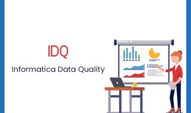 Informatica Data Quality Online Training Realtime support from India