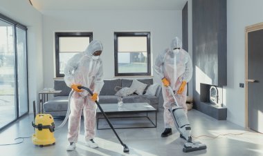 The Impact of Professional Carpet Cleaning on Home Aesthetics