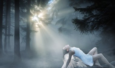 Angel Number Calculator: Unlocking the Hidden Messages from Your Angels
