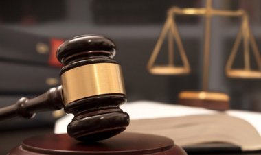 Exploring the Best Appeal Lawyers
