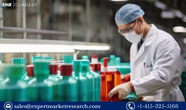Ranolazine (Ranexa) Manufacturing Plant Project Report 2024: Industry trends and Plant Setup