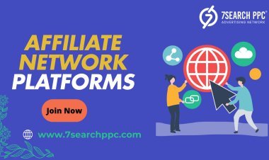 Exploring the Dynamics of Affiliate Network Platforms