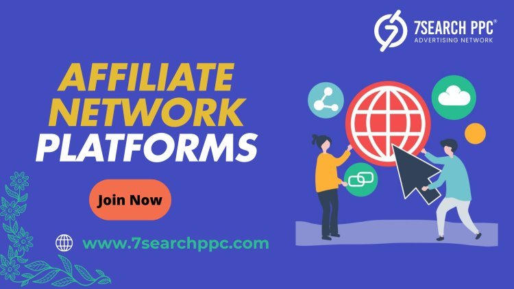 Exploring the Dynamics of Affiliate Network Platforms