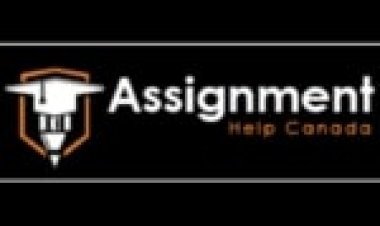 Professional Essay Writer
