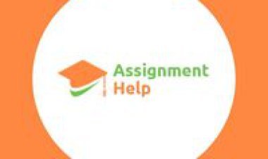 Assignment Help Services In Limerick