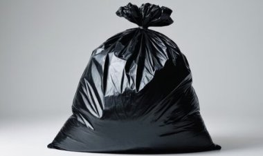 Your Guide to the Best Biodegradable Garbage Bags Suppliers in 2025