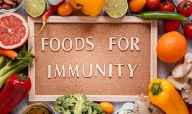Master HACCP Training: Your Path to Food Safety Excellence