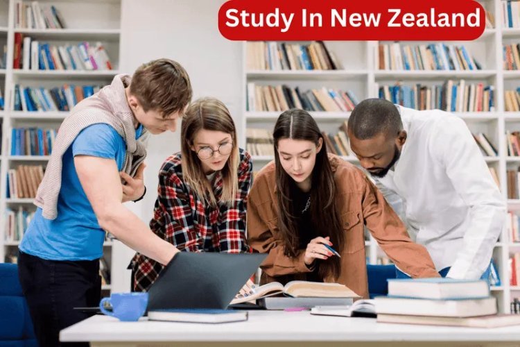 Popular Courses to Study Abroad: A Guide by Study Visa Consultants