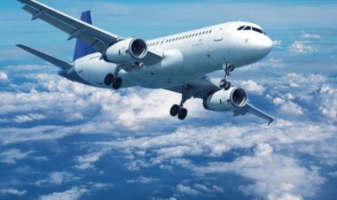 Spirit Airlines Las Vegas Terminal: A Complete Guide for Travelers