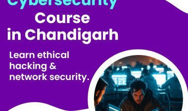 How to Start a Career in Cybersecurity: A Step-by-Step Guide