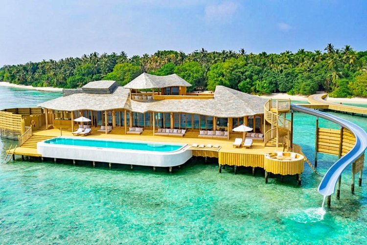 Island Hopping in the Maldives: A Traveler’s Adventure