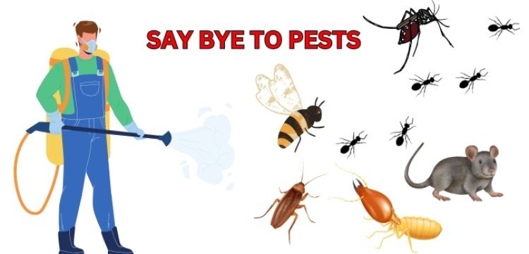 Pest Control Services in Gurgaon