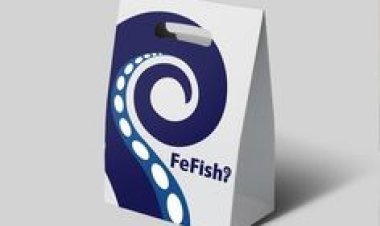 How Shrimp Boxes Help Maintain Freshness And Quality