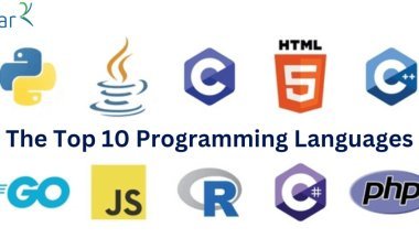 In-Depth Breakdown of the Top 10 Programming Languages