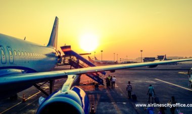 Turkish Airlines New York City Office – Location, Contact Info & Services