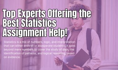 Top Experts Offering the Best Statistics Assignment Help!