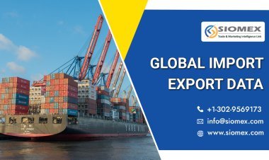 Customs Regulations for Global Trade and Shipments.