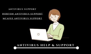Mcafee Virus Protection Customer Service