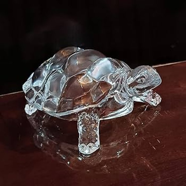 Unlocking the Power of Crystal Tortoise in Vastu: Benefits, Placement & Direction