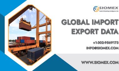 How to analyze global trade market data for business Growth