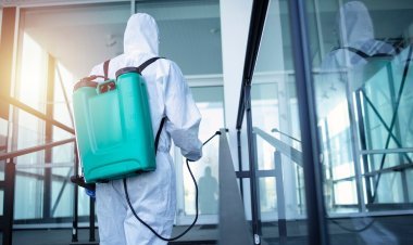 Termite Inspection vs. Termite Treatment: What's the Difference?