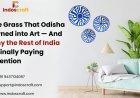 The Grass That Odisha Turned into Art — And Why the Rest of India Is Finally Paying Attention