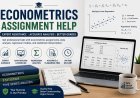 Econometrics Assignment Help: Your Complete Guide to Academic Success
