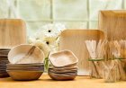 How to Setup a Bamboo Based Disposable Cups and Plates Manufacturing Plant 2026: Machinery Requirements and Cost Analysis