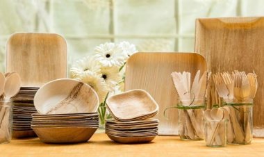 How to Setup a Bamboo Based Disposable Cups and Plates Manufacturing Plant 2026: Machinery Requirements and Cost Analysis
