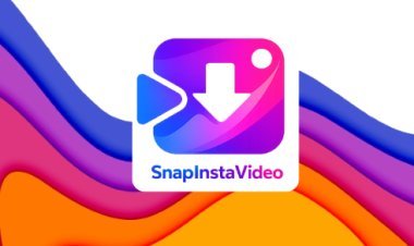 Snapinsta Video Downloader: How to Download Instagram Videos Instantly