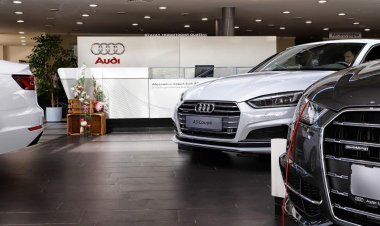The Hidden Language of Audi Engines and How Diagnostics Translate It