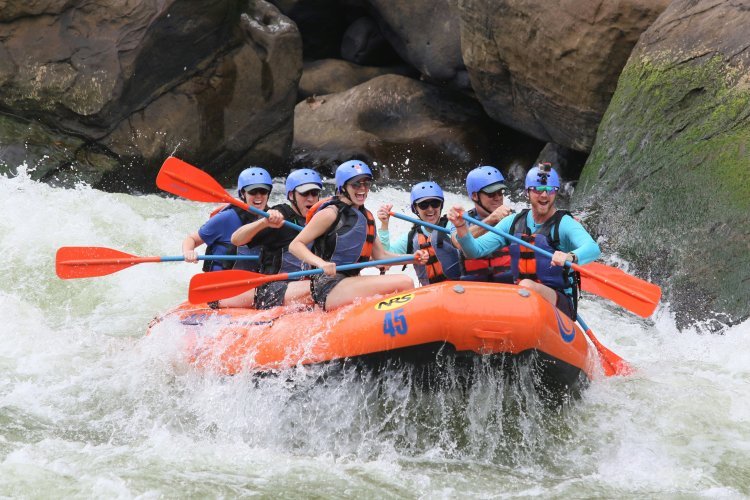 Rishikesh Wellness Guide: The Best Place for Yoga, Adventure, and Holistic Healing