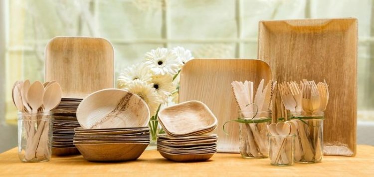 How to Setup a Bamboo Based Disposable Cups and Plates Manufacturing Plant 2026: Machinery Requirements and Cost Analysis