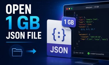 How to Open 1GB JSON File - 3 Effective Methods