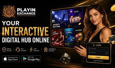 Playinexch App Guide: Features, Mobile Access and Online Gaming Overview