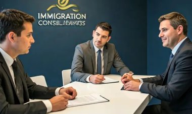 Immigration Consultant in Canada: Expert Support for a Successful Immigration Journey