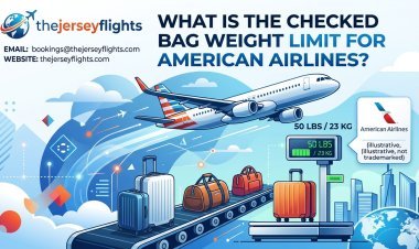 What does premium economy look like on american airlines? Complete 2026 Guide by TheJerseyFlights