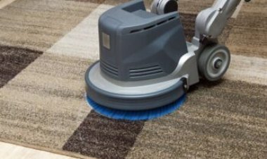 Carpet Cleaning Services Supporting the Preservation of Interior Flooring