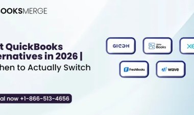 QuickBooks Alternative Guide for Businesses That Need More Flexibility