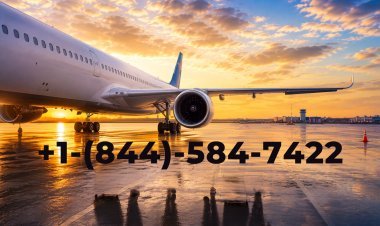 Expedia Refund Policy Explained: What Works and What Doesn't