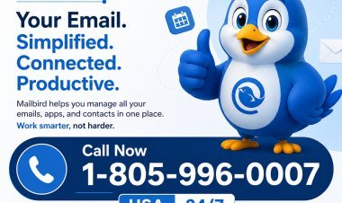 You Can Call Mailbird Anytime - Here’s the 24/7 Number You Need