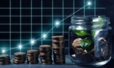 Personal Finance Tips for Beginners: Smart Money Management Guide