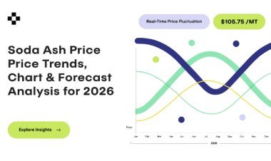 Soda Ash Price Trend 2026: Global Index and Forecast Insights | IMARC Group