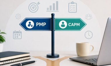 PMP or CAPM? How to Choose the Right Certification