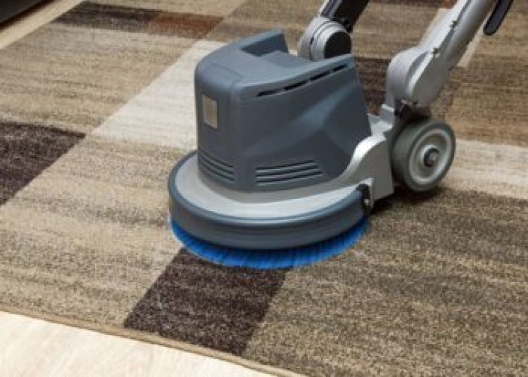 Carpet Cleaning Services Supporting the Preservation of Interior Flooring