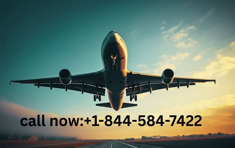 How to Get a Refund Through Expedia Without Hassle or Delay