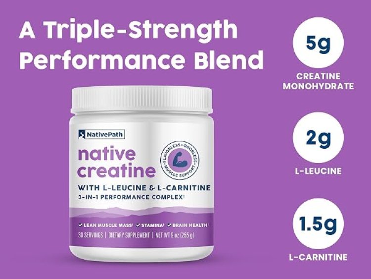 Native Path Creatine: Complete Guide to Benefits, Ingredients, and Why It's Gaining Popularity