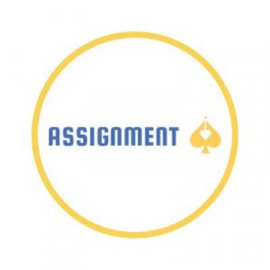 Cheap Essay Writing Company