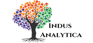 indus-analytica