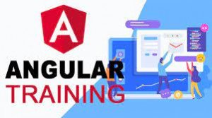 Angular JS Course